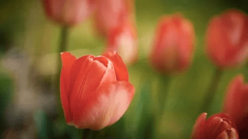 Chemotherapy Side Effects – Day&nbsp;9