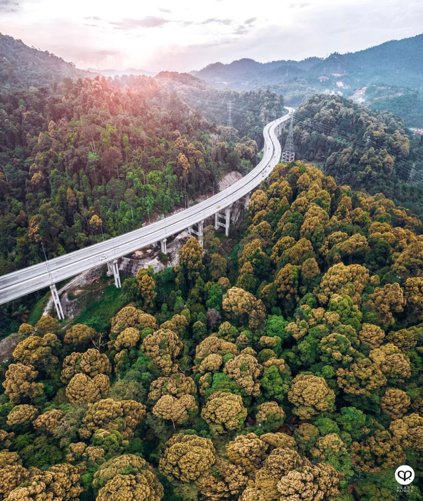 Chemotherapy Side Effects – Backaches And&nbsp;More